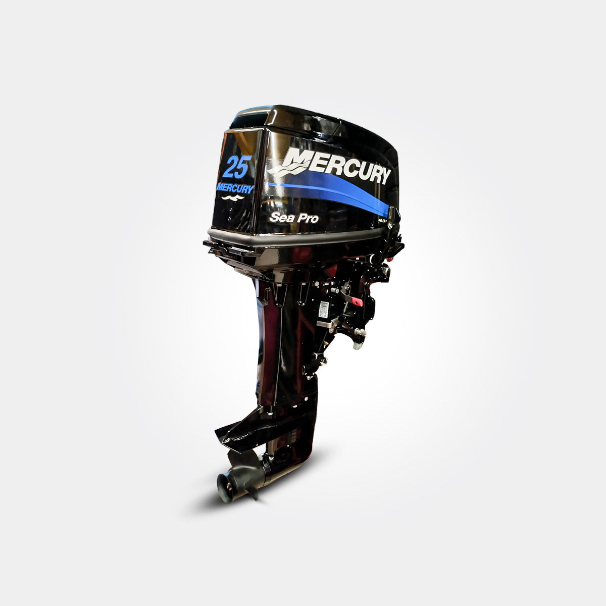 MOTOR FUERA DE BORDA 25 HP SEAPRO PATA LARGA 20”