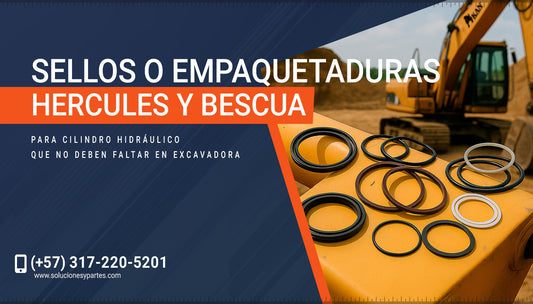 Sellos o empaquetaduras Hercules y Bescua